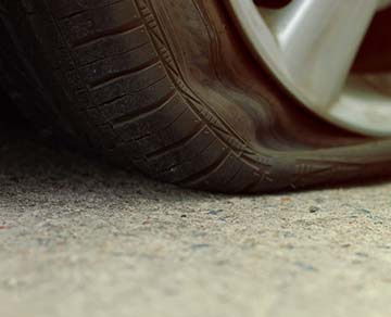 social-resposibility